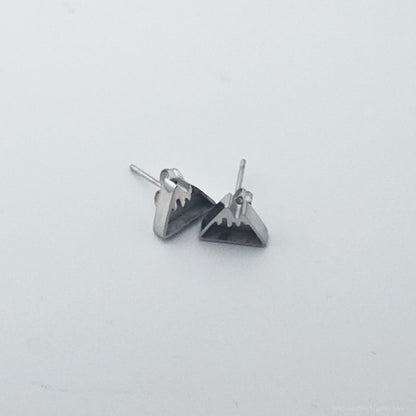 Inlay Earrings - Stainless Steel